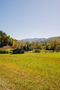 Ağaçlarla çevrili yeşil alan ve gökyüzünün altındaki uzak dağlar.