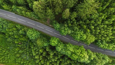 Yemyeşil ormanda dolambaçlı yolun havadan görünüşü
