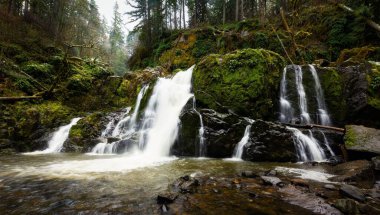 Şelale yemyeşil ormanlardaki kayaların üzerinde çağlıyor.