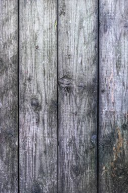 Yıpranmış ahşap tahtalar kırsal dokulu arka plan oluşturuyor.