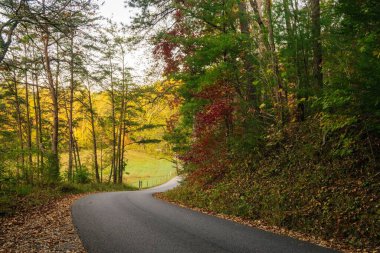 Sonbahar manzarasında renkli ağaçların arasından dolambaçlı yol