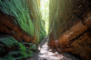 Güneş ışığıyla aydınlatılan uzun kaya oluşumları arasındaki dar yol