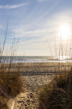 Güneşli bir günde Uzun Deniz Çimeni Tarafından Çerçevelenmiş Okyanus Sahili 'ne Kum Yolu