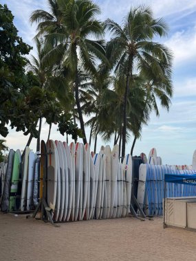 Tropik bir plajda, Palm Trees 'in altında saklanmış sörf tahtası ve stand-up pedalları.
