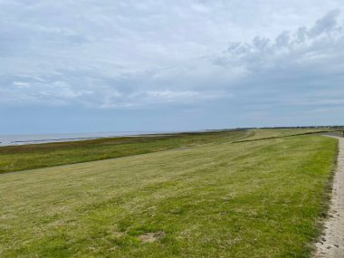Geniş çimenli deniz yatağı, bulutlu bir gökyüzünün altında kıyıya doğru ilerliyor..