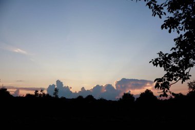 Alacakaranlık Gökyüzü ve Aydınlanmış Kümülüs Bulutları Bir Ağaç Çizgisi Silueti Üzerinde