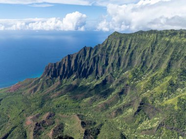 Na Pali Sahili Kauai Hawaii uçurumları tropik okyanus gezisi manzarası yeşil destansı