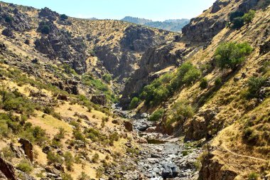 Rocky Stream Dik, Kuru Dağ Kanyonu 'ndan akıyor