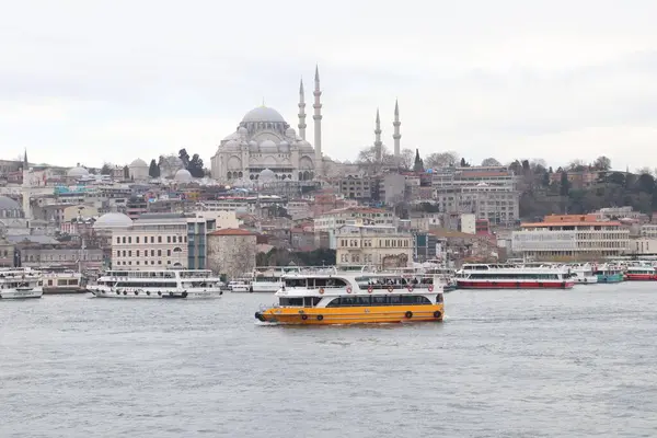 İstanbul, Tepede Süleyman Camii ile Suyu Geçen Feribotlar