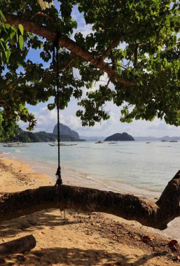 Sahilin yakınındaki ağaçta sallanıyor.