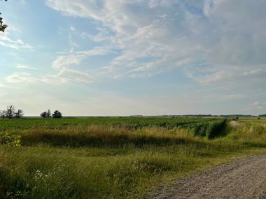 Bulutlu gökyüzünün altında engin yeşil alanlar