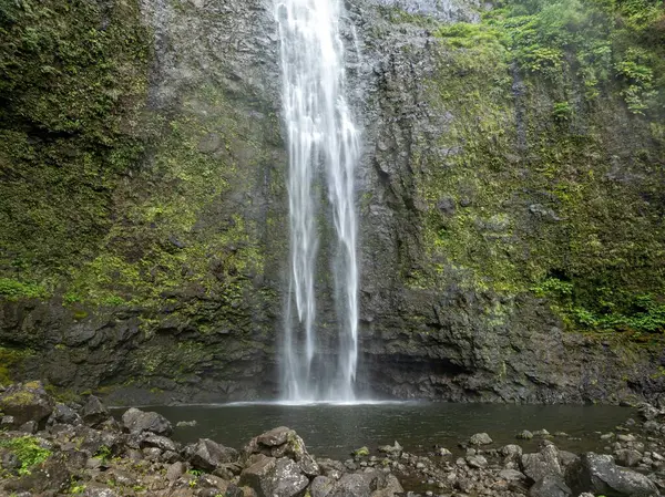 Şelale kayalık yamaçtan havuza dökülüyor.