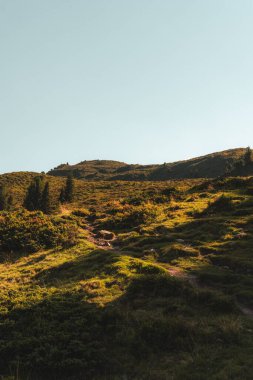 Berrak gökyüzünün altında yemyeşil çimenler ve uzak ağaçların olduğu dağ yamacının manzarası