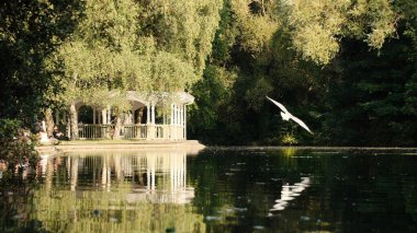 Balkonlu göl manzarası ve sakin suya yansıyan uçan kuş.