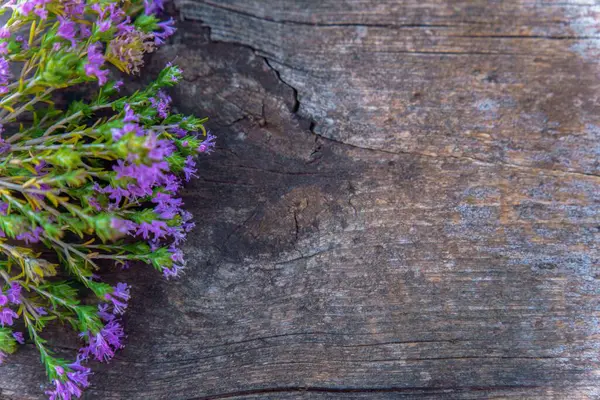 Kırsal ahşap yüzeyde sıralanmış mor çiçeklerin yakın çekimi