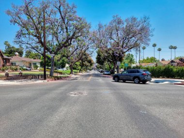 Sessiz bir banliyö sokağı Güneşli bir günde Jacaranda Ağaçlarıyla çevrili