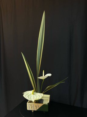 Siyah arka planda yeşil yapraklı beyaz çiçek aranjmanı