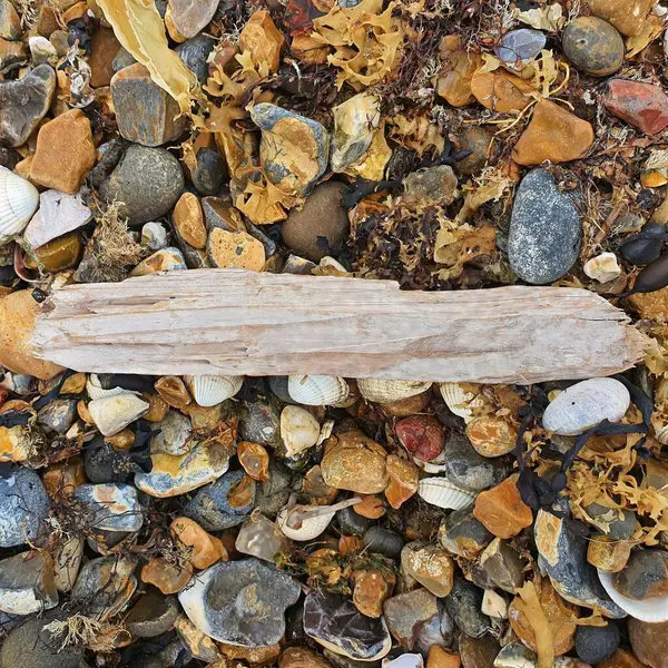 Çakıl taşlarından, kabuklardan ve yosunlardan oluşan bir yatak üzerinde düz bir tahta parçası.