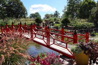Botanik Bahçesinde Suyun Üzerinde Parlak Kırmızı Yaya Köprüsü
