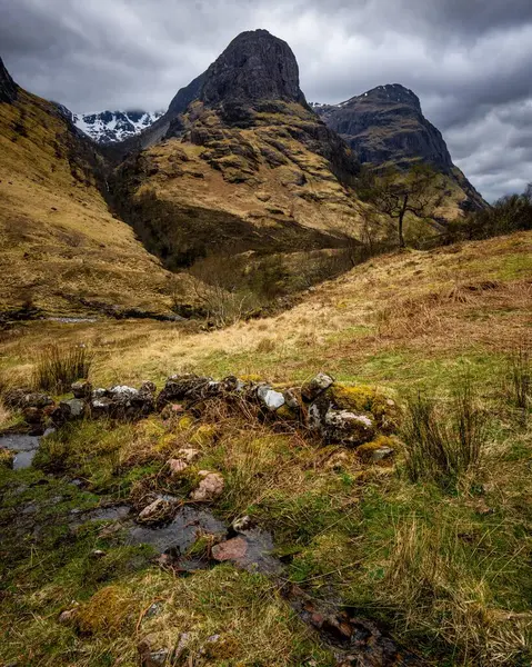 Bulutlu gökyüzünün altında çimlerin üzerinde yükselen engebeli dağların manzarası