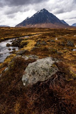 Arkasında bir dağ olan güzel bir manzara.