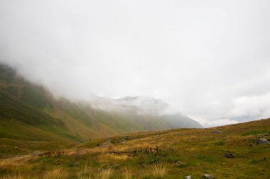 Sis kaplı yuvarlanan tepeler huzur ve huzur veren manzaralar yaratıyor.