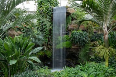 Etrafı yeşilliklerle çevrili kayaların üzerinde çağlayan şelale.