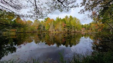 Huzurlu doğal ortamda sakin suya yansıyan renkli ağaçlar
