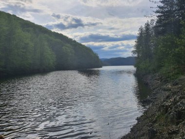 Nehir, yemyeşil orman yamaçlarından yavaşça akıyor.