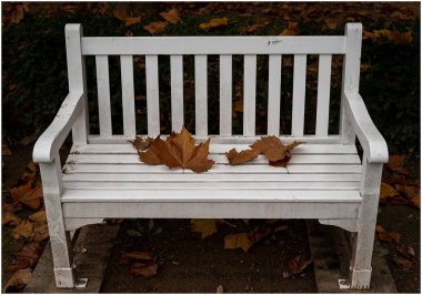 White Bench Güz Sonbaharı Park Mevsimini Dışarıda Bırakıyor