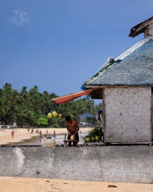 Hindistan cevizi satıcısı Tropik bir sahilde taze hindistan cevizi hazırlıyor.