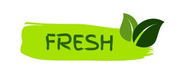 Yeşil doğal biyoloji etiketi. Elle çizilmiş yeşil etiketlerdeki taze yazılar. Vektör illüstrasyonu