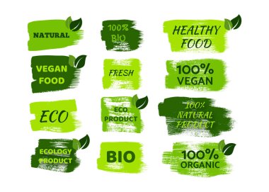Green natural bio labels. Big set of green organic, bio, eco, vegan labels on hand drawn stains. Vector illustration