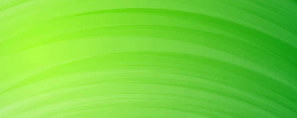 Moderní Zelené Gradient Pozadí Liniemi Záhlaví Nápisu Jasné Geometrické Abstraktní — Stockový vektor