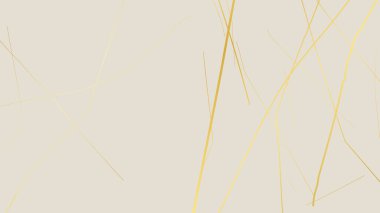 Beyaz arka planda altın sarısı Kintsugi çatlak deseni. Kırık mermere benzeyen altın çatlakların dokusu. Düğün kartları, posterler ve lüks tasarım şablonları için ideal. Vektör illüstrasyonu