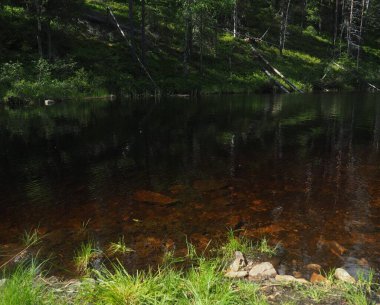 Dark water by the lake