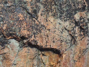 Prehistoric shamanic rock paintings