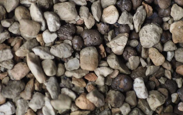 a semihydro mix for houseplants