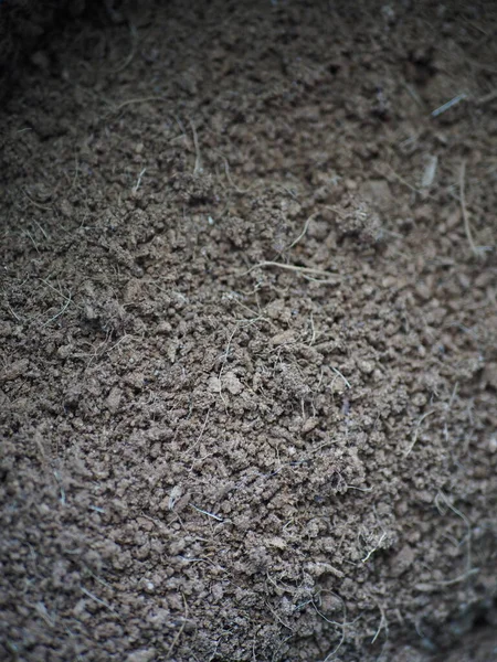 Toprak yığınına yakın.