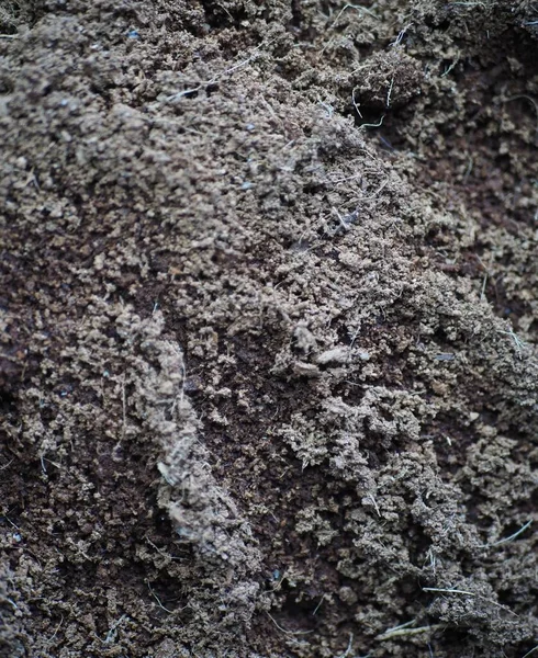 Toprak yığınına yakın.