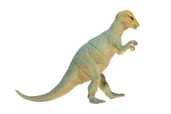 Juguete Dinosaurio Aislado Sobre Fondo Blanco Pachycephalosaurus — Foto de Stock