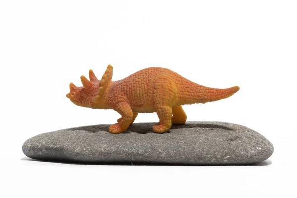 白い背景に孤立した平らな岩の上にあるおもちゃStyracosaurus — ストック写真
