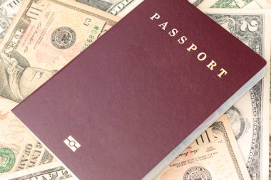Dolar üzerinden yeni bir pasaport. Para üzerinde uluslararası kimlik.