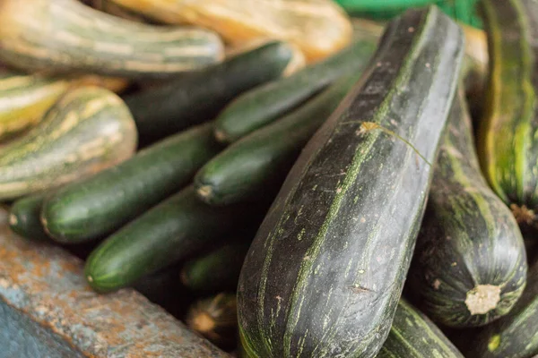 Yerel bir çiftçi dükkanından taze salatalık çeşitleri. Sebzeler. Kabak çorbası. Organik gıda ve sağlıklı yeme konsepti. Kopyalama alanı olan resim.