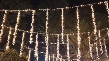 Açık havada geceyi aydınlatan ışıklar doğal bir ortamda parlayan şenlikli çelenkler Noel süsü için ideal..