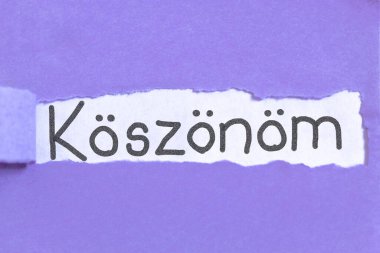 Mor arka planda yırtık kağıda Macarca yazdığınız için teşekkürler. Kağıt şeridi.