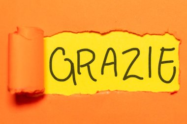 Sarı ve turuncu. İtalyanca teşekkür notu. Teşekkürler konsept.