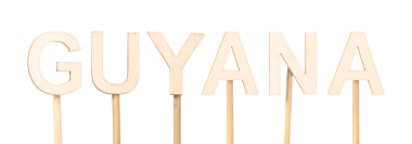 Tasarım projeleri için ideal kelime olan Guyana 'yı oluşturmak için düzenlenmiş ahşap harfler..