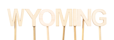 Beyaz arka planda büyük tahta harflerle Wyoming, eğitim materyalleri için çok yönlü bir resim, batı eyaletleri veya görsel okul projeleri üzerine kurulu editoryal tasarım. Amerika Birleşik Devletleri