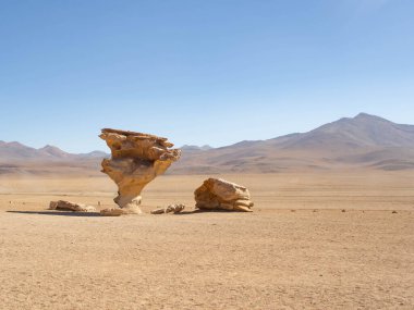 Eduardo Avaroa Andean Hayvanat Bahçesi 'ndeki doğal taş ağacı anıtı.